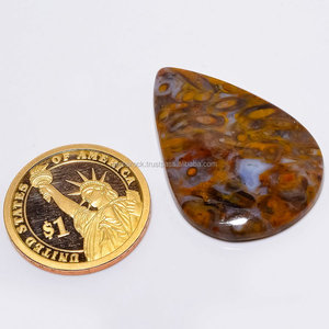 Palm gốc hóa thạch Cabochon trộn hình dạng tất cả các kích thước bán quý Chất lượng cao đẹp cọ gốc hóa thạch đá quý pha lê chữa bệnh tumbleds - Product Image 1