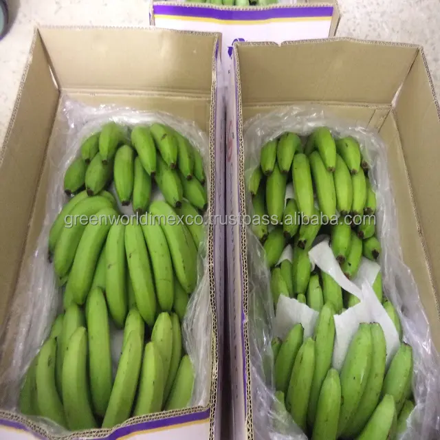 Высококачественный банан CAVENDISH по лучшей цене из Вьетнама