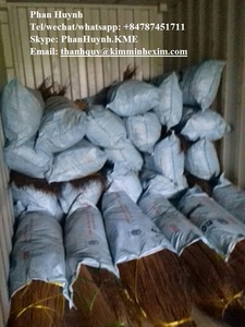 Manche à balais Nipa/noix de coco de haute qualité, fabriqué au Vietnam - Product Image 2