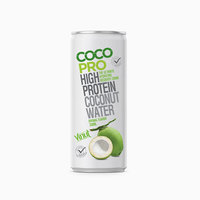 Eiwitrijk 250Ml Ingeblikt Kokoswater Met Sinaasappelsmaak Oem/Odm Service Gratis Monster Gratis Logo Ontwerp Goedkope Prijs