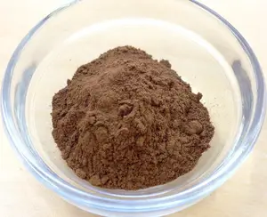 Japanese High Quality Fermented Black Onion Extract Raw Material Powder Made In Japan For Health Foods And Dietary Supplement