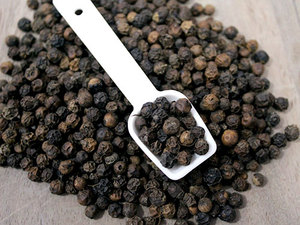 Poivron noir de meilleure qualité au Viet Nam 2023 Ms Holiday - Product Image 4