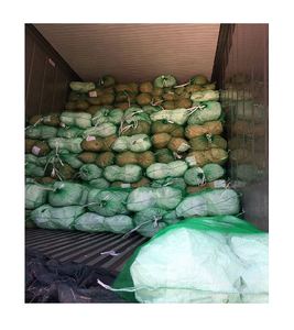 กะหล่ำปลีเขียวสดออร์แกนิกจากเวียดนาม - Product Image 3