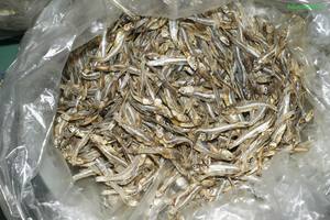 High Quality <b>Dried</b> Anchovies <b>Sprats</b> From Vietnam/ Ms. Kate - Product Image 5