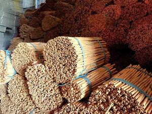 VIETNAM SPICY GOOD PRICE CINNAMON STICK - Product Image 6
