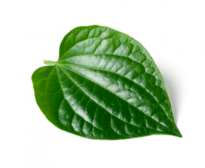 น้ำมันหอมระเหยจากใบเป่าขลุ่ยอินทรีย์100% น้ำมันหอมระเหยที่ไว้ใจได้ - Product Image 4