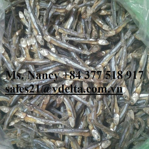 POISSON D'ANCHOIS SÉCHÉS DU VIETNAM/POISSON D'ANCHOIS SÉCHÉ NATUREL DE HAUTE QUALITÉ - Product Image 3