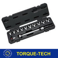 Jeu de clés dynamométriques interchangeables en acier au carbone de qualité professionnelle et industrielle pour bricolage et OEM