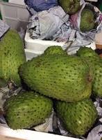 Groothandel - Verse Passievruchten ISO Gecertificeerd Hoge Kwaliteit 2024 100kg Graad 1 Vanuit Viet Delta