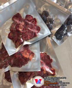 Máquina de Pulpa de Gac Secada por Vietnam - Product Image 1