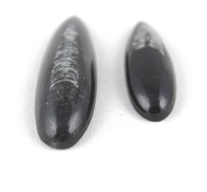 Grand Orthoceras naturel de 67 carats et petit de 37 carats Cabochons en forme de poire Fabrication de bijoux faits à la main Pierres précieuses en vrac Vente en gros - Product Image 4