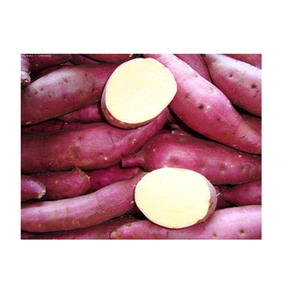 มันฝรั่งหวานธรรมชาติที่มีมาตรฐานการส่งออก - Product Image 1