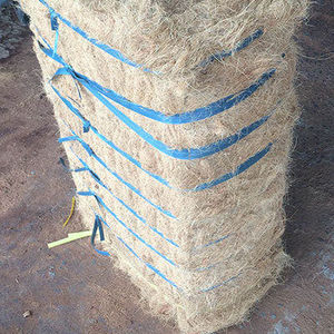 Fiber de noix de coco du Vietnam, g, de haute qualité et prix bon marché (vacances) - Product Image 1