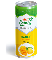 Groothandel Drankjes Oem Merk Sap Natuurlijke Mango Vruchtensap Hoge Kwaliteit Sap