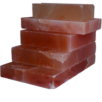Venta al por mayor personalizado 100% pura pared de ladrillos de sal del Himalaya de alta calidad envío rápido habitación Spa decoración OEM