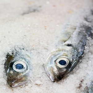 Sal de roca para productos marinos, embalaje de 25kg, 50kg, 1mt, 1,5 Mt, bolsa jumbo 100% pura y orgánica, el mejor precio - Product Image 3