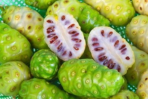 <span class=keywords><strong>Noni</strong></span> toz/dondurulmuş/kurutulmuş Morinda citrifolia/peynir meyve kurutulmuş