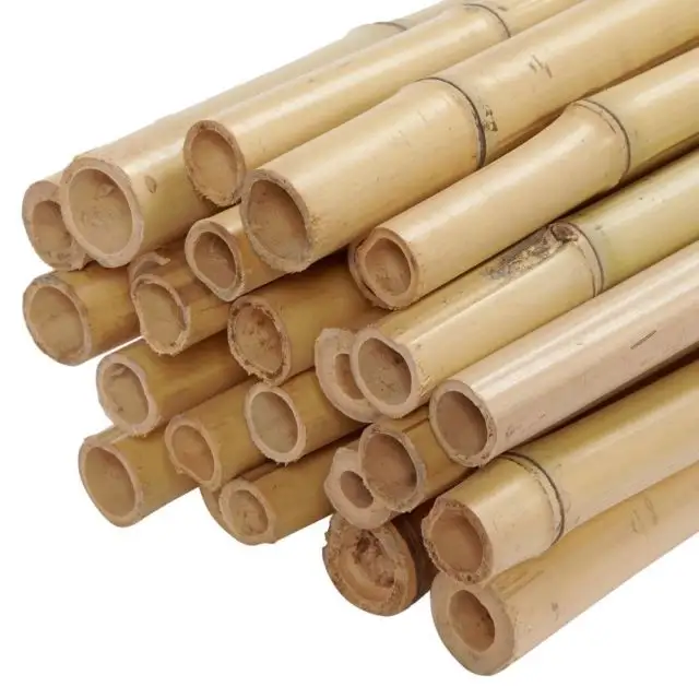 Toptan bambu direk s İnşaat ve yapı malzemeleri için yüksek kaliteli doğal güçlü düz bambu direk bahçe ücretsiz vergi