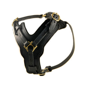 Harnais en cuir pour chien, Durable, de haute qualité et de haute qualité, pour rottwailer - Product Image 3