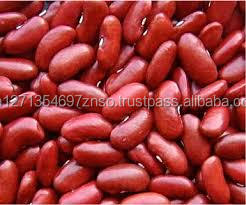 Haricots rouges en vrac pour l'exportation, légèrement mouchetés, qualité supérieure, grade A, séchés, prix abordable - Product Image 2
