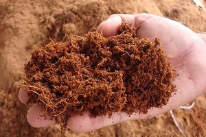 COCOPEAT, turba de coco, precio de COCOPEAT para cultivo de jardín - Product Image 3