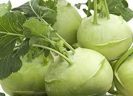 KOHLRABI SECO DE LA MEJOR CALIDAD/NABO ALEMÁN/REPOLLO TRURNIP - Product Image 5
