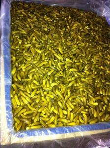 กิมจิ ขนาด 2-5 ซม. จำนวนมาก - Product Image 4