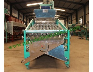 Nueva máquina de clasificación automática de anacardos de alta calidad 380V 1 año de garantía Procesamiento de frutas Directo de fábrica Vietnam Competitivo - Product Image 2