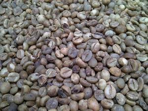 Granos de Café Robusta Verde Premium, Mezcla Tostada, Paquete a Granel de 20 kg, Sabor Suave - Product Image 2