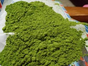 Poudre de MORINGA OLEIFERA - VACANCES - Product Image 5