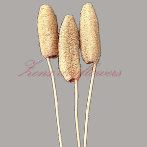 Material de popurrí natural Loofah para flores secas tropicales Luffa para decoraciones navideñas - Product Image 1