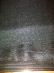 100% Pure Cashmere <b>Scarf</b> Shawl <b>for</b> Winter Season - Product Image 5