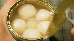 LYCHEE AU SIROP EN GROS Litchi spécial vietnamien au sirop en conserve VACANCES - Product Image 2