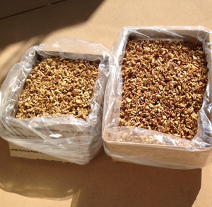 Nueces Secas de Primera Calidad en Venta, Procesadas Crudas, Provenientes de Sudáfrica, para Exportación Mundial - Product Image 6