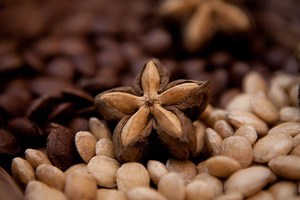 Taovet — noix rôti acier inoxydable, barbecue, Sacha Inchi - Product Image 3