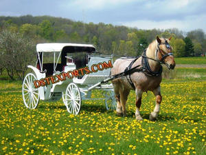 Couvert noir Victoria Calèche Royal Horse Carriage Buggy Mariage indien Royal Victoria Carriage Buggy Fabricants UK - Product Image 2