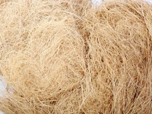 Meilleur prix FIBER de coco/FIBER de coco de noix de coco du VIETNAM 2020 - Product Image 5