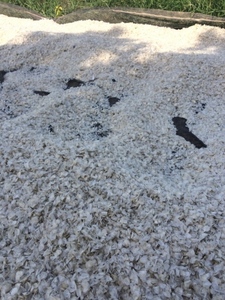 Precio Económico para Escamas de Pescado Secas, Escamas de Tilapia - Product Image 6