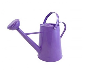 กระป๋องน้ำโลหะชุบสังกะสีแฮนด์เมดสำหรับพืชในร่มผลิตจากโรงงานราคาถูก - Product Image 1