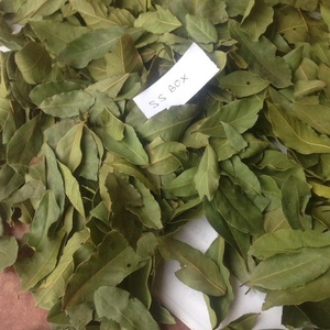 AgroHoby Hojas de Laurel Secas Naturales, Certificadas ISO, 1 kg, Color Verde, 2 Años de Duración, Especias de Turquía - Product Image 1