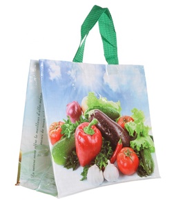Eco Friendly Reusable Pp ทอถุงช้อปปิ้ง Made In Vietnam - Bolsas Ecologicas - Product Image 4
