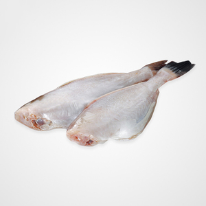 leatherjacketskinfishsuppliers