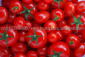Poudre de tomate 100% naturelle qualité 1, vente en gros - Product Image 5