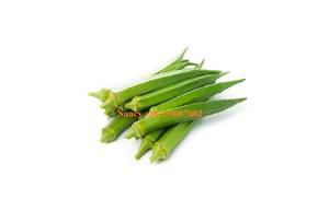 Okra surgelée IQF biologique et sans OGM, type de culture - Product Image 5