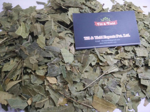 Meilleure qualité 100% naturel Azardirachta Indica (Neem indien) feuille poudre Pharma ayurvédique qualité vide récipient en plastique tambour - Product Image 4