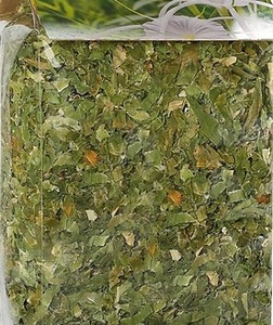 HERBALCRINUM LATIFOLIUM 100% NATURAL CRINUM CALAMISTRATUM GRADO DE EXPORTACIÓN DE VIETNAM - Product Image 6