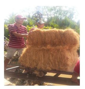 Offre Spéciale!!! Fibre de noix de coco bon marché de haute qualité - Product Image 2