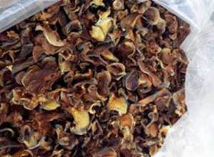 <b>WAX</b> GROUND <b>POWDER</b> WINTER MELON <b>POWDER</b>/VIETNAM - Product Image 5