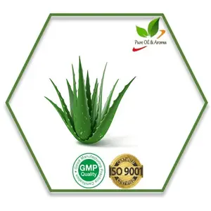 Prezzo all'ingrosso all'ingrosso di olio vettore di Aloe vera certificato ISO e olio di Aloe vera di qualità biologica per grado di aromaterapia