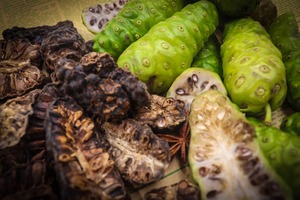 Poudre de Noni Morinda de haute qualité, fruits frais, meilleur prix - Product Image 6